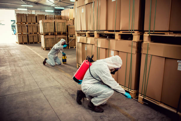 Pest Prevention Services in Milmay, NJ
