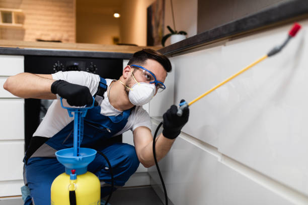 Best Residential Pest Control  in Milmay, NJ