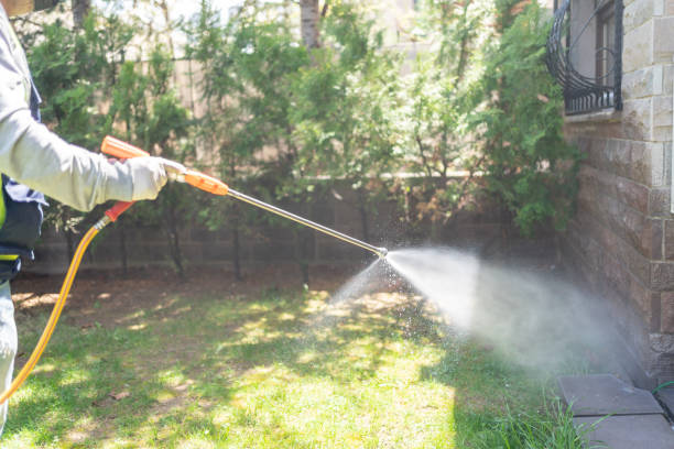 Best Mosquito Control Services  in Milmay, NJ