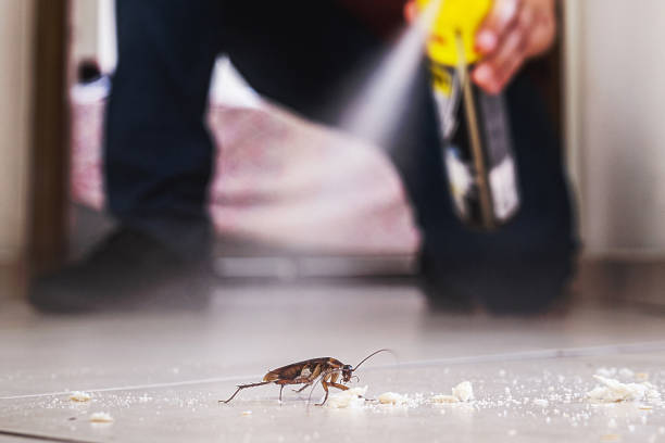 Best Pest Prevention Services  in Milmay, NJ