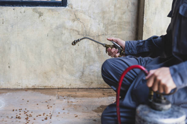 Best Exterminator Services  in Milmay, NJ